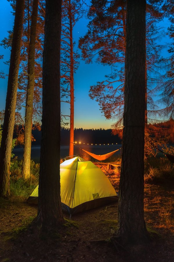 Comment allier confort et respect de l'environnement dans un camping chic et nature ?