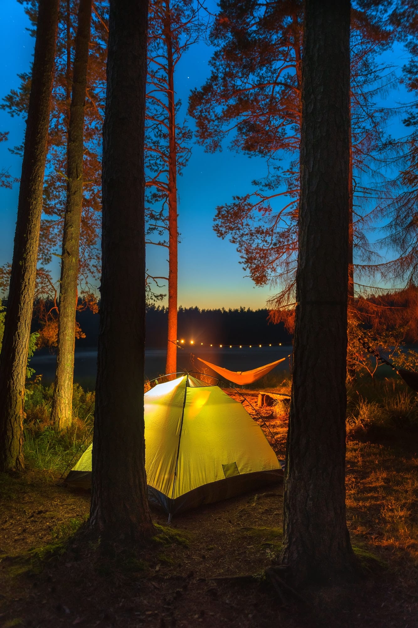 Comment allier confort et respect de l’environnement dans un camping chic et nature ?